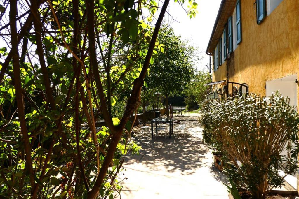 Belle Longere Au Calme - L'Auguste Maison D'Hotes Valensole Exterior foto